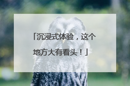 沉浸式体验，这个地方大有看头！