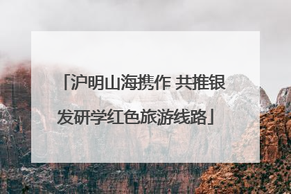沪明山海携作 共推银发研学红色旅游线路