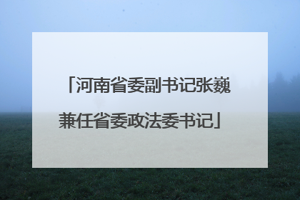 河南省委副书记张巍兼任省委政法委书记