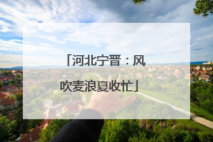 河北宁晋：风吹麦浪夏收忙