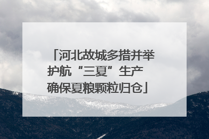 河北故城多措并举护航“三夏”生产 确保夏粮颗粒归仓