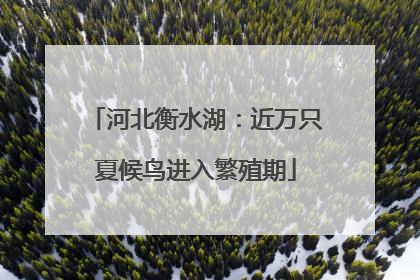 河北衡水湖：近万只夏候鸟进入繁殖期