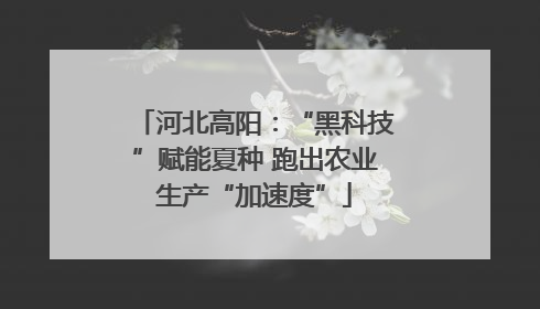 河北高阳：“黑科技”赋能夏种 跑出农业生产“加速度”