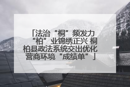 法治“桐”频发力 “柏”业锦绣正兴 桐柏县政法系统交出优化营商环境“成绩单”