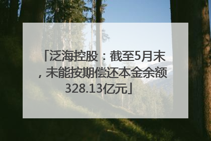泛海控股：截至5月末，未能按期偿还本金余额328.13亿元