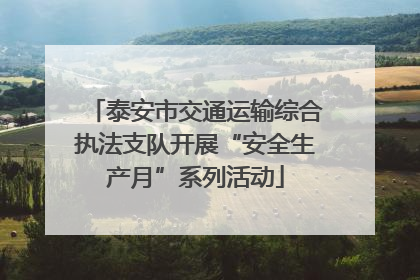 泰安市交通运输综合执法支队开展“安全生产月”系列活动