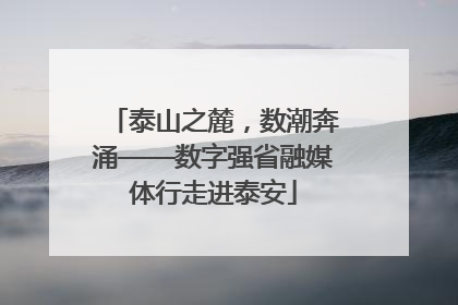 泰山之麓，数潮奔涌——数字强省融媒体行走进泰安