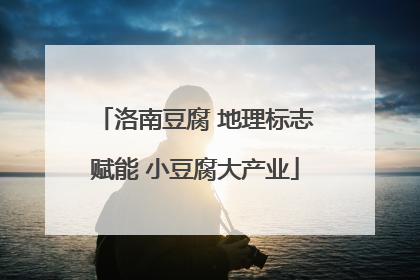 洛南豆腐 地理标志赋能 小豆腐大产业