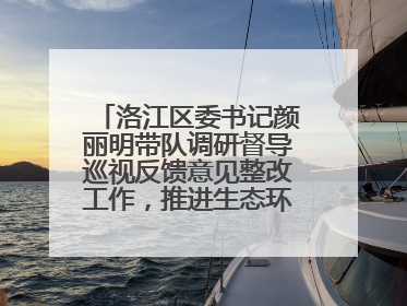洛江区委书记颜丽明带队调研督导巡视反馈意见整改工作，推进生态环境保护建设