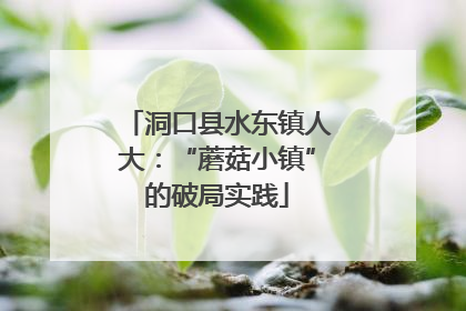 洞口县水东镇人大：“蘑菇小镇”的破局实践