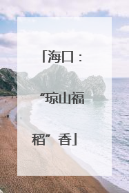 海口：“琼山福稻”香