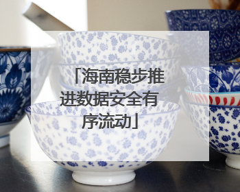 海南稳步推进数据安全有序流动