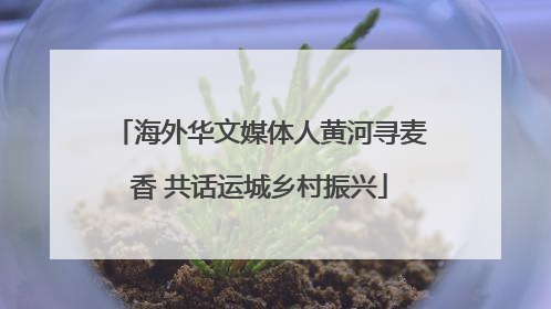 海外华文媒体人黄河寻麦香 共话运城乡村振兴