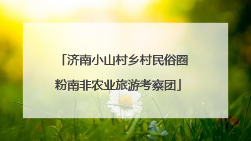 济南小山村乡村民俗圈粉南非农业旅游考察团