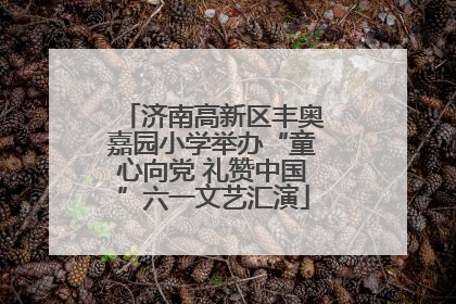 济南高新区丰奥嘉园小学举办“童心向党 礼赞中国”六一文艺汇演