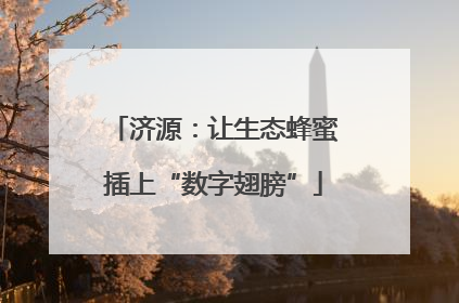 济源：让生态蜂蜜插上“数字翅膀”