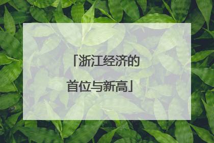 浙江经济的首位与新高