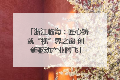 浙江临海：匠心铸就“视”界之窗 创新驱动产业腾飞