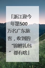 浙江迎今年第500万名广东旅客，收到的“锦鲤礼包”都有啥