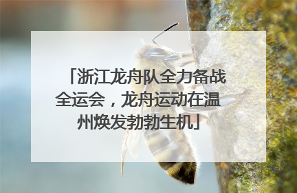 浙江龙舟队全力备战全运会，龙舟运动在温州焕发勃勃生机