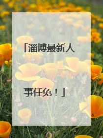 淄博最新人事任免！