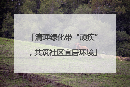 清理绿化带“顽疾”，共筑社区宜居环境