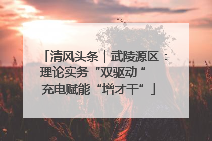 清风头条｜武陵源区：理论实务“双驱动 ” 充电赋能“增才干”