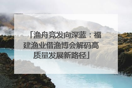 渔舟竞发向深蓝：福建渔业借渔博会解码高质量发展新路径