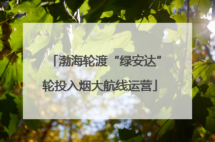 渤海轮渡“绿安达”轮投入烟大航线运营
