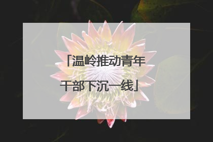 温岭推动青年干部下沉一线