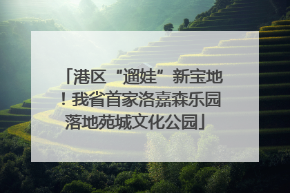 港区“遛娃”新宝地！我省首家洛嘉森乐园落地苑城文化公园