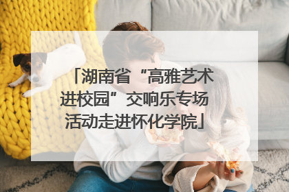 湖南省“高雅艺术进校园”交响乐专场活动走进怀化学院