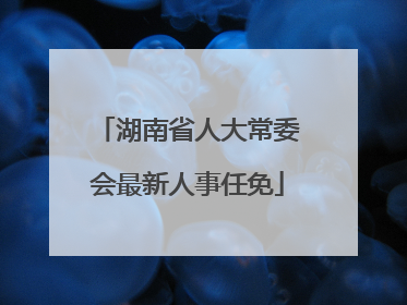 湖南省人大常委会最新人事任免