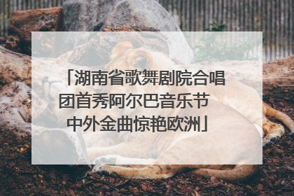 湖南省歌舞剧院合唱团首秀阿尔巴音乐节 中外金曲惊艳欧洲