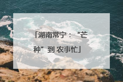 湖南常宁：“芒种”到 农事忙