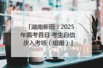湖南新田：2025年高考首日 考生自信步入考场（组图）