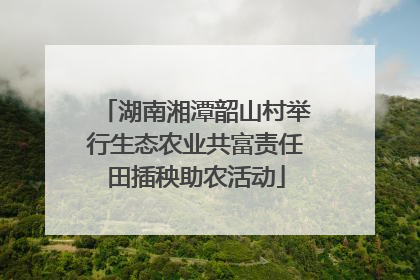 湖南湘潭韶山村举行生态农业共富责任田插秧助农活动