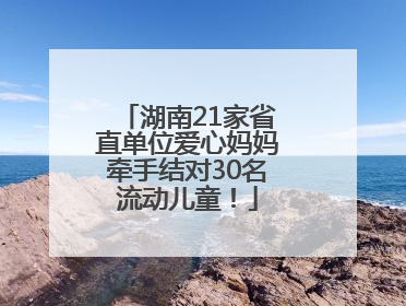 湖南21家省直单位爱心妈妈牵手结对30名流动儿童！