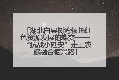 湖北白果树湾依托红色资源发展的蝶变——“抗战小延安”走上农旅融合振兴路