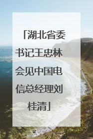 湖北省委书记王忠林会见中国电信总经理刘桂清