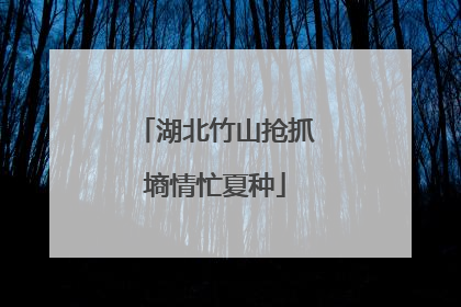 湖北竹山抢抓墒情忙夏种
