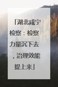 湖北咸宁检察：检察力量沉下去，治理效能提上来