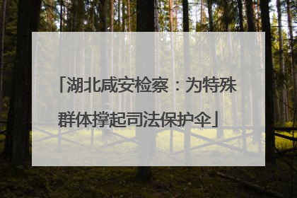 湖北咸安检察：为特殊群体撑起司法保护伞