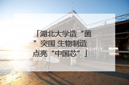 湖北大学造“菌”突围 生物制造点亮“中国芯”
