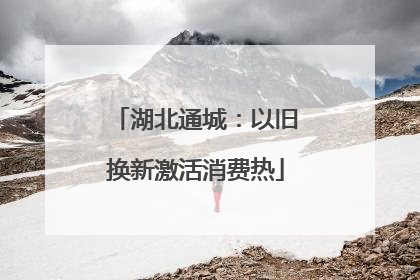 湖北通城：以旧换新激活消费热