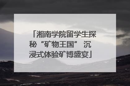 湘南学院留学生探秘“矿物王国” 沉浸式体验矿博盛宴