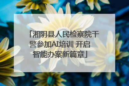 湘阴县人民检察院干警参加AI培训 开启智能办案新篇章