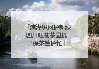 滴灌织网护新绿 四川旺苍茶园抗旱保茶管护忙