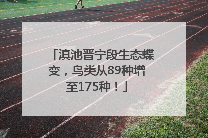 滇池晋宁段生态蝶变，鸟类从89种增至175种！