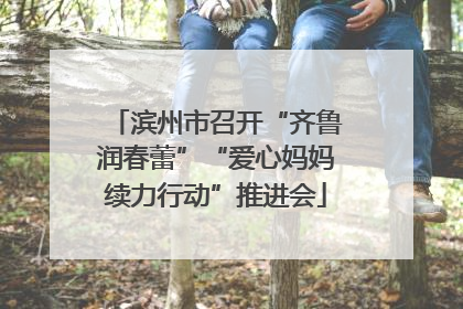 滨州市召开“齐鲁润春蕾”“爱心妈妈续力行动”推进会